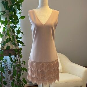 BCBGMaxAzria Pink Chemise with Ruffle Detail